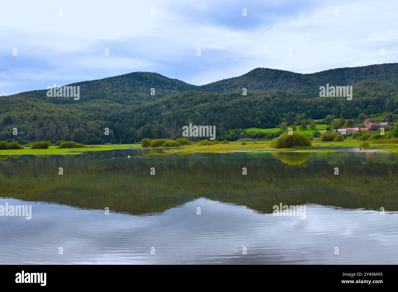 Forêts couvertes de collines au-dessus du lac Cerknica à Notranjska, Slovénie Banque D'Images