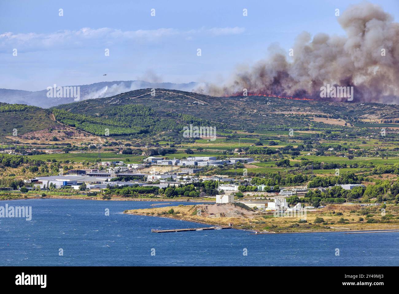 FRANCE. OCCITANIE. HÉRAULT (34) MASSIF DE LA GARDIOLE. INCENDIE ENTRE GIGEAN ET FRONTIGNAN LE 18 AOÛT 2024. EN PARTANT DU BORD DE L'AUTOROUTE A9, Banque D'Images