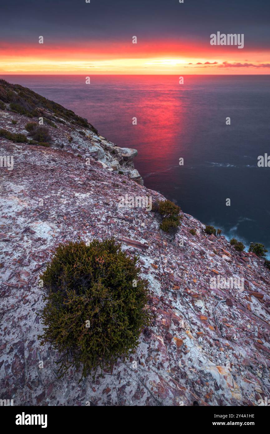 lever de soleil rose sur la falaise dans le parc national de bouddi sur la côte centrale de nouvelle-galles du sud Banque D'Images