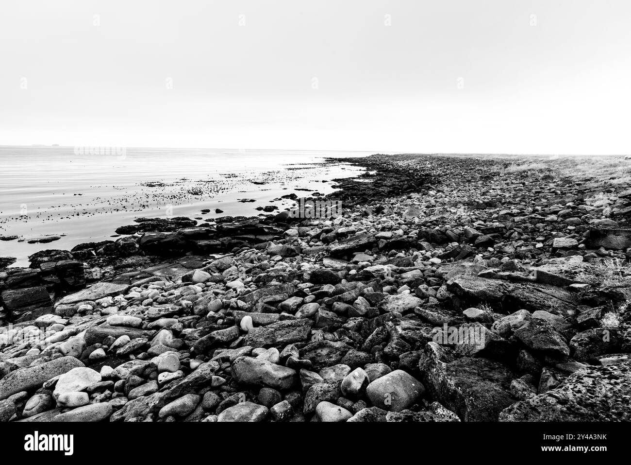 Plage de galets à marée basse dans le nord de l'Islande à 66 parallèle à Tjornes près de Husavik dans la municipalité de Nordurping en Islande Banque D'Images