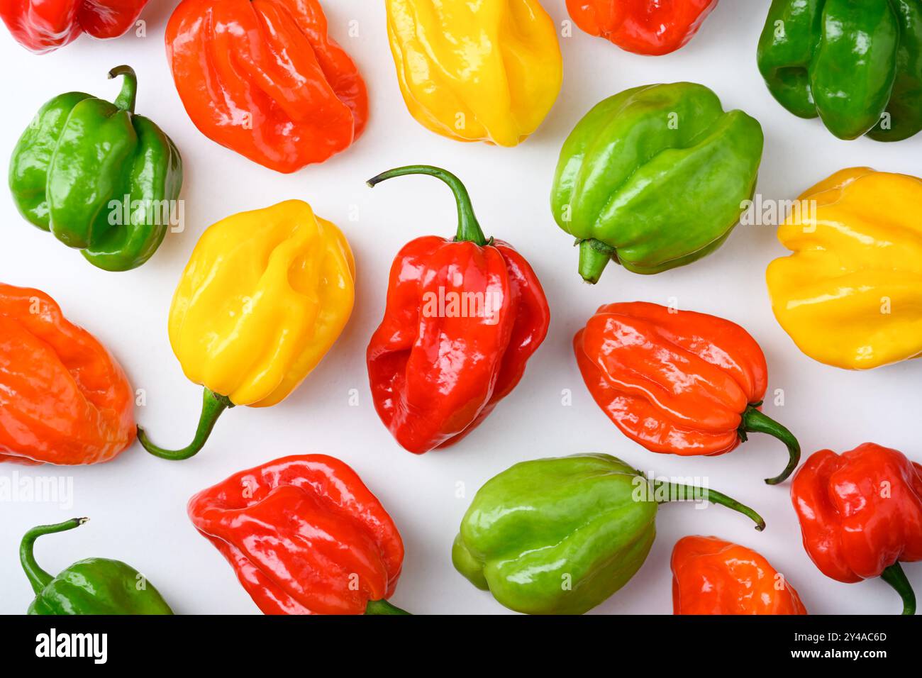 Poivrons habanero multicolores mûrs (capsicum chinense) sur fond blanc gros plan. Poivrons mexicains très chauds Banque D'Images