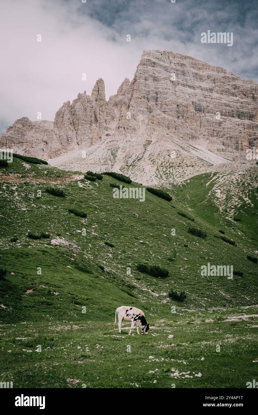Majestueux sommets de Tre Cime Banque D'Images