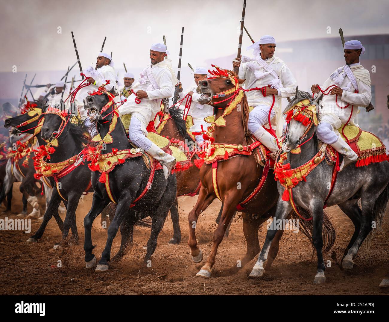 Au cœur du Maroc, Fantasia éblouit avec ses couleurs éclatantes et son affichage puissant. Chevaux majestueux et chevaliers courageux, drapés de robes vibrantes, Banque D'Images