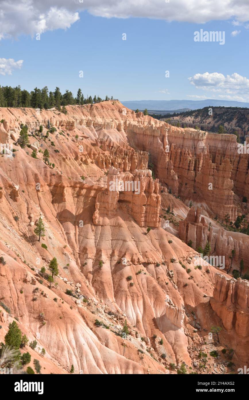 Parc national de Bryce Canyon, Utah. U.S.A. 8/12/2024.la caractéristique principale du parc est Bryce Canyon, qui malgré son nom, n'est pas un canyon Banque D'Images
