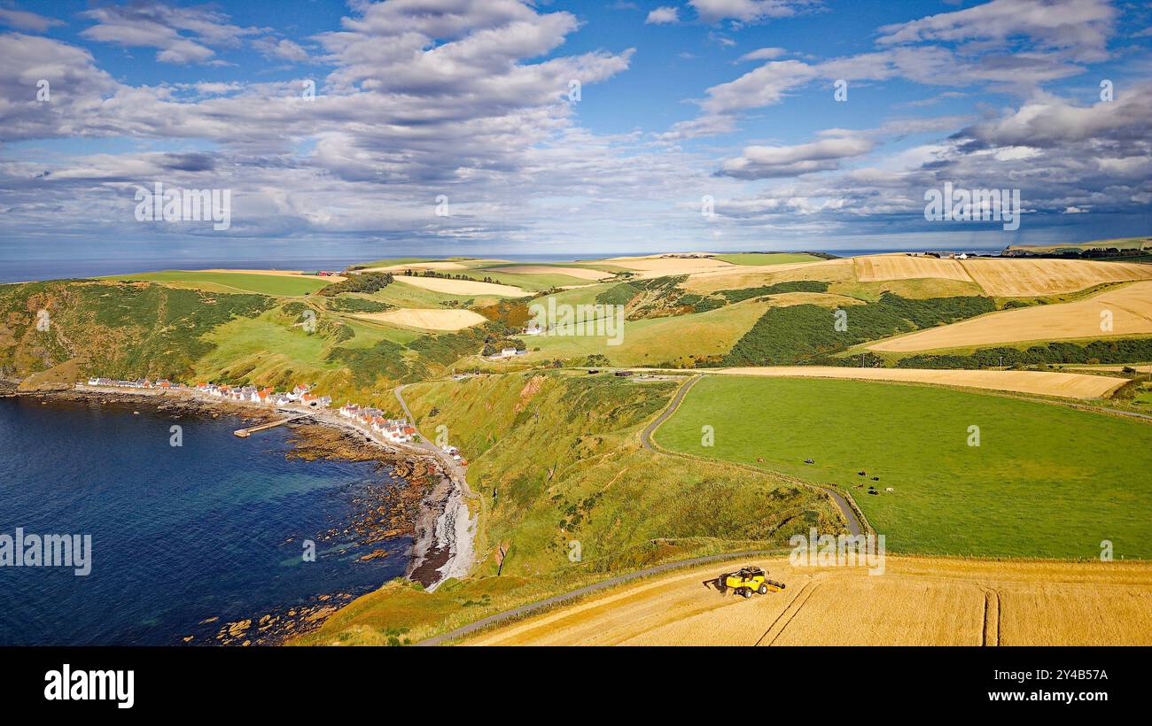 Combinez Harvester Crovie Aberdeenshire Écosse un champ d'orge à la fin de l'été surplombant le hameau de Crovie et une mer bleue Banque D'Images