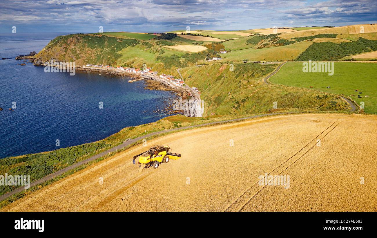 Moissonneuse-batteuse Crovie Aberdeenshire Écosse un champ d'orge à la fin de l'été surplombant les maisons Crovie et une mer bleue Banque D'Images