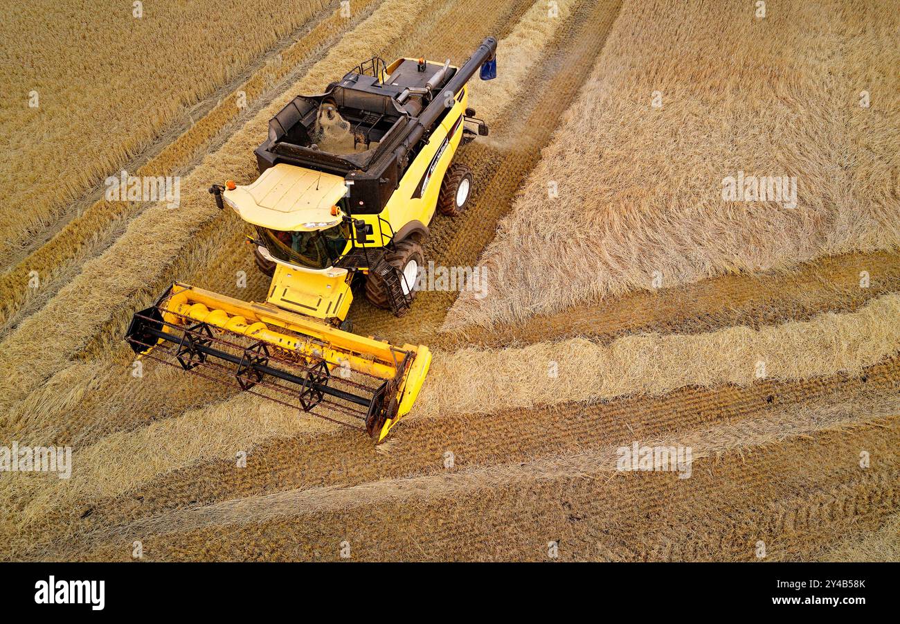 Moissonneuse-batteuse Crovie Aberdeenshire Scotland une machine sur le champ d'orge doré à la fin de l'été Banque D'Images