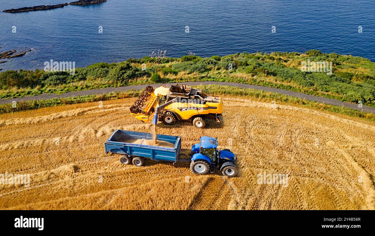 Moissonneuse-batteuse Crovie Aberdeenshire Écosse champ d'orge à la fin de l'été récolteuse remplissant une remorque avec du grain Banque D'Images