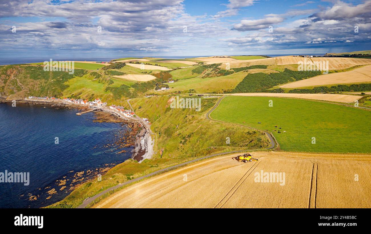 Moissonneuse-batteuse Crovie Aberdeenshire Écosse champ d'orge à la fin de l'été surplombant Crovie hameau et une mer bleue Banque D'Images