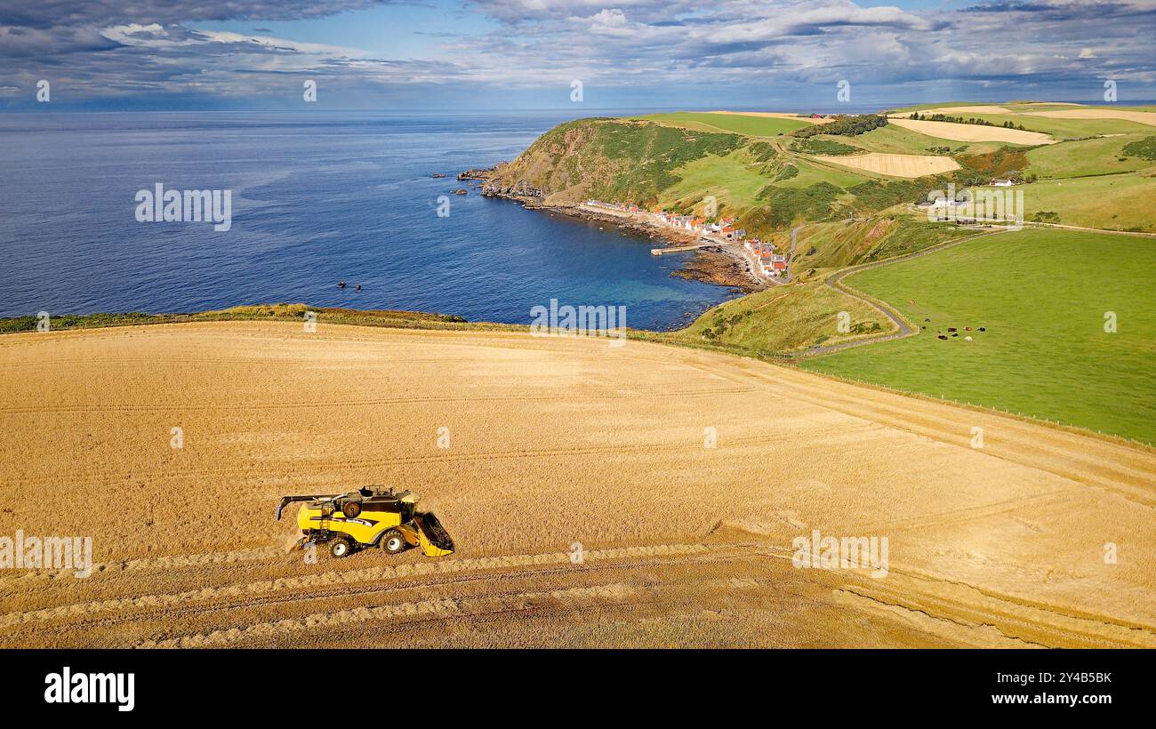 Moissonneuse-batteuse Crovie Aberdeenshire Écosse champ d'orge à la fin de l'été surplombant le hameau de Crovie Banque D'Images