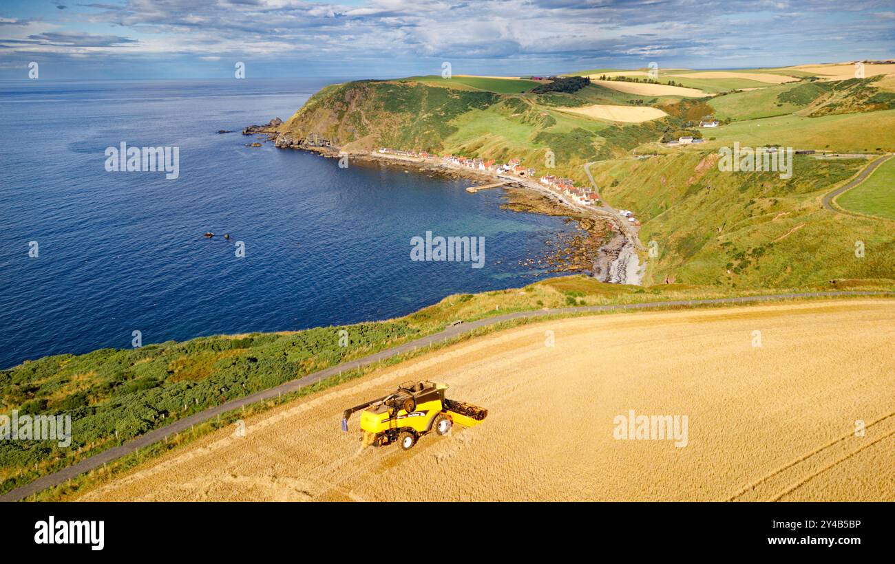 Combinez Harvester Crovie Aberdeenshire Écosse champ d'orge à la fin de l'été surplombant la rangée de maisons Crovie et une mer bleue Banque D'Images