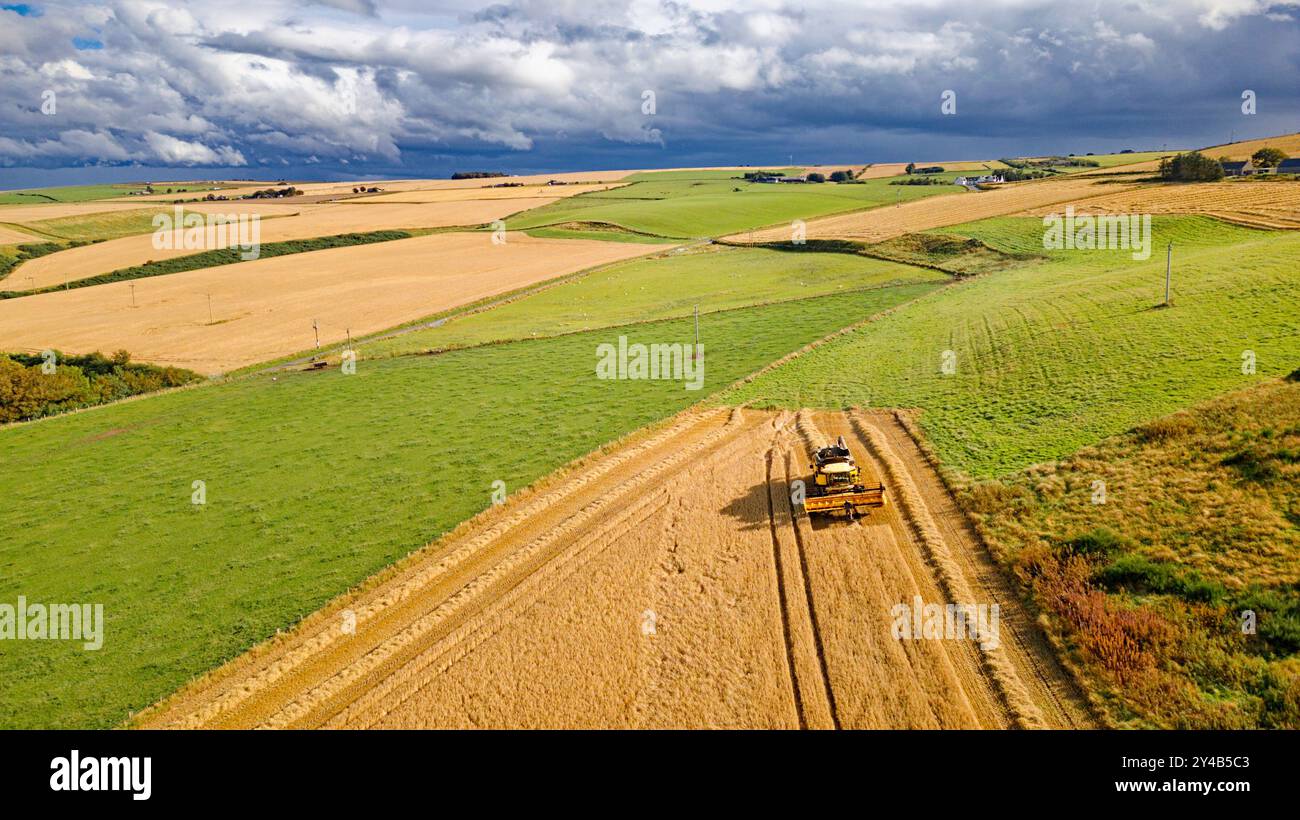 Moissonneuse-batteuse Crovie Aberdeenshire Écosse champs d'orge à la fin de l'été conducteur nettoyant les lames de la moissonneuse-batteuse Banque D'Images