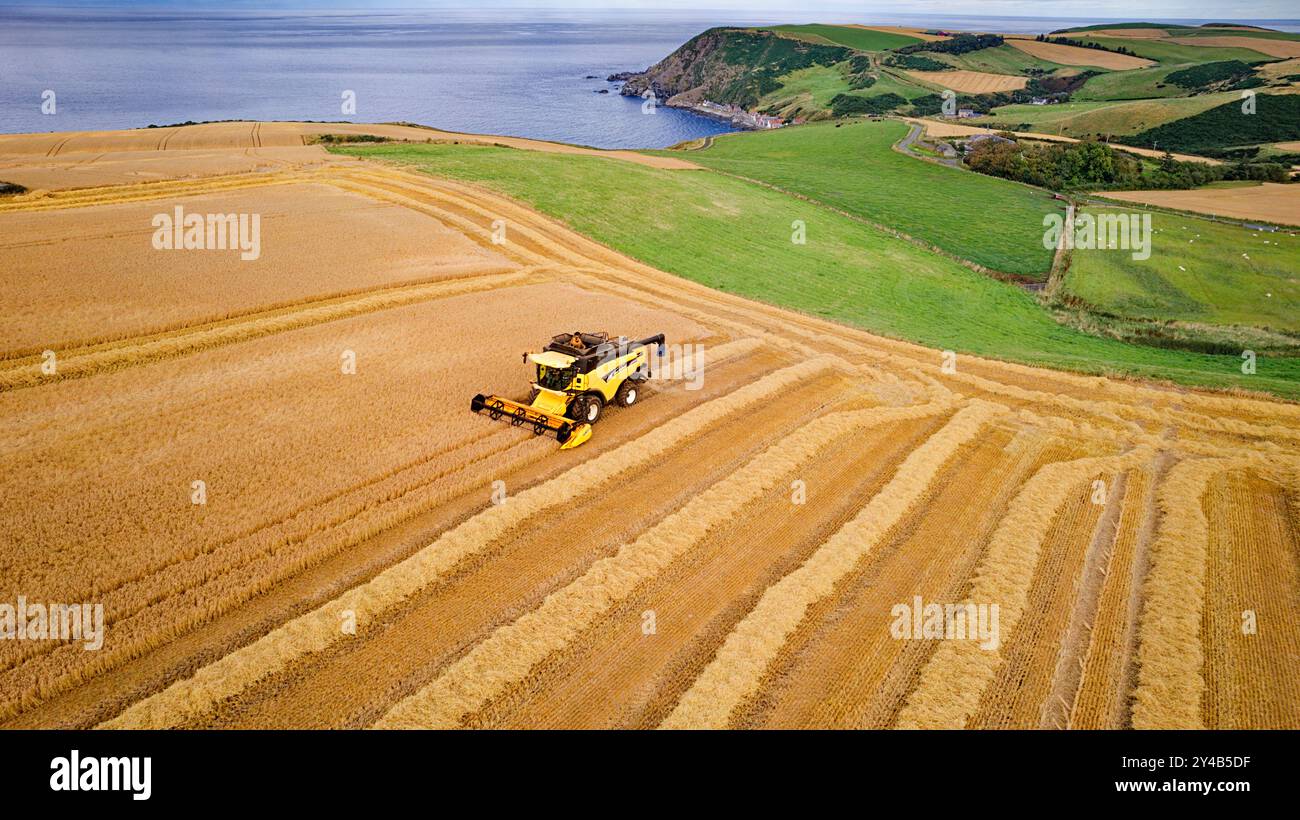 Combinez Harvester Crovie Aberdeenshire Écosse mer bleue et un champ d'orge doré à la fin de l'été Banque D'Images
