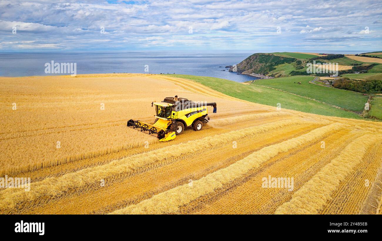 Combinez Harvester Crovie Aberdeenshire Écosse mer bleue et un champ d'orge de couleur dorée à la fin de l'été Banque D'Images