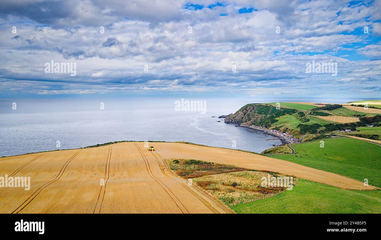 Combinez Harvester Crovie Aberdeenshire Écosse mer bleue et un vaste champ d'orge à la fin de l'été Banque D'Images