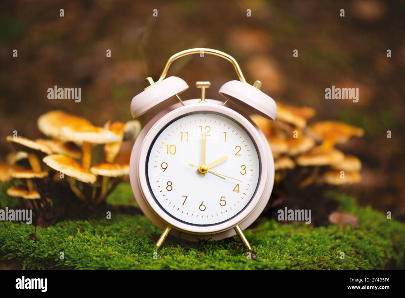 Fin de l'heure d'été en automne, changement d'heure d'hiver, réveil avec feuillage d'automne et champignons Banque D'Images