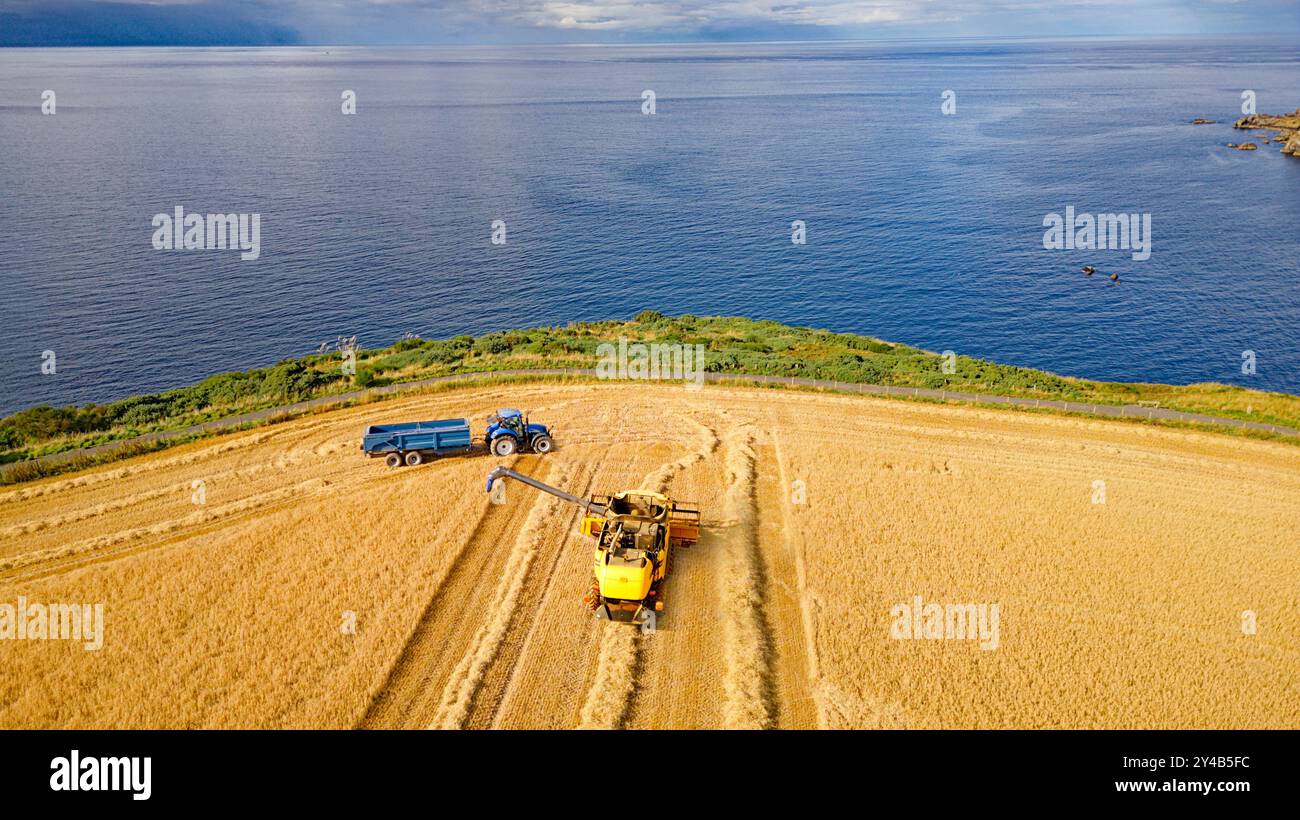 Moissonneuse-batteuse Crovie Aberdeenshire Écosse champ bleu d'orge de mer fin d'été une moissonneuse-batteuse remplissant une remorque de grain Banque D'Images