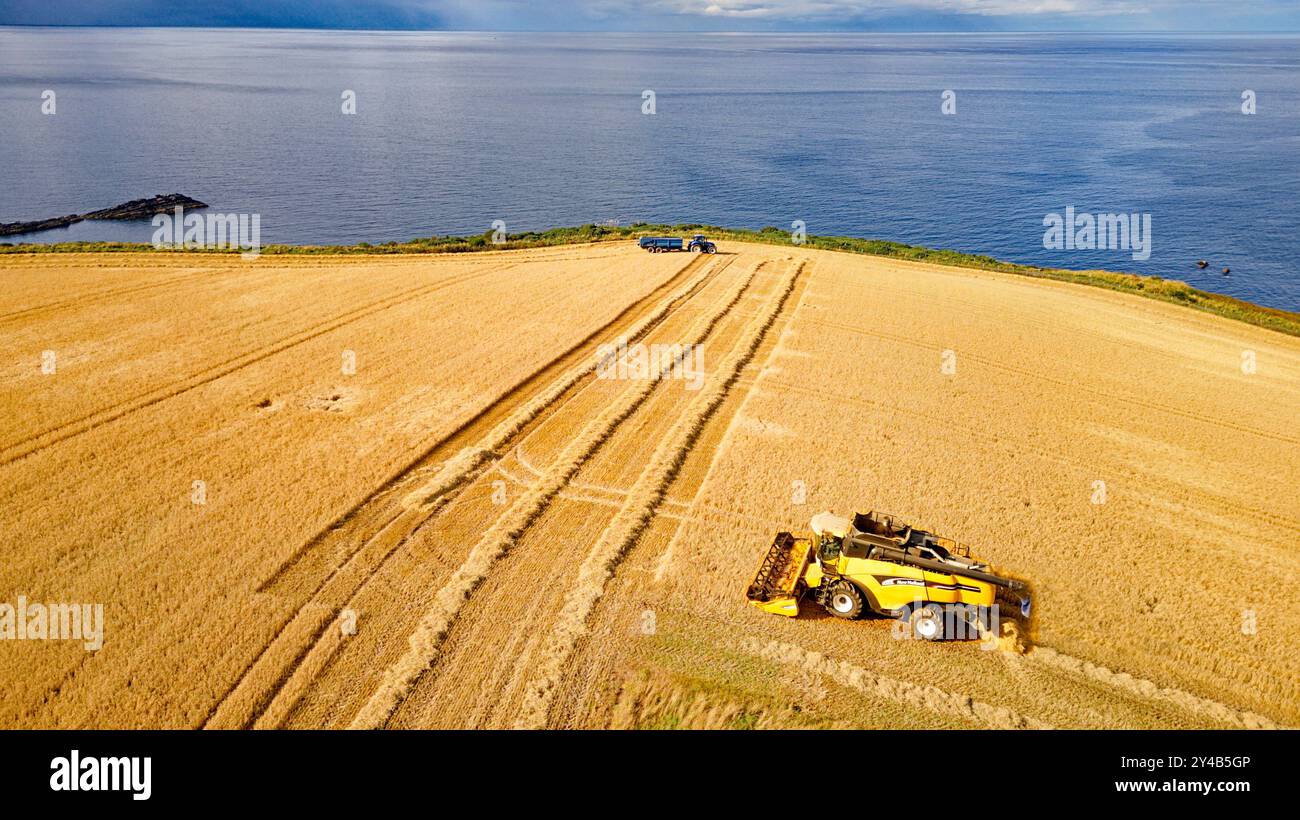 Moissonneuse-batteuse Crovie Aberdeenshire Écosse champ bleu d'orge de mer à la fin de l'été une moissonneuse remplissant une remorque de grain Banque D'Images