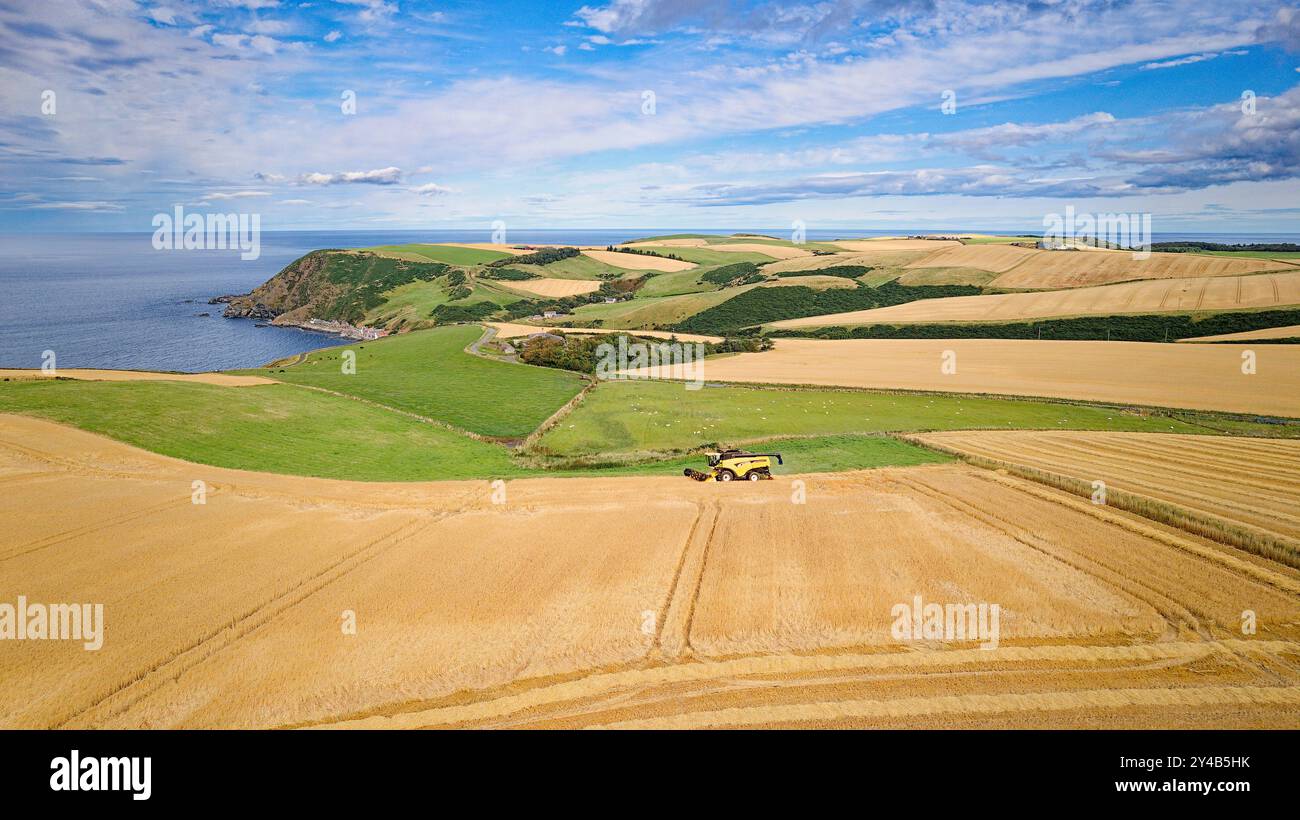 Moissonneuse-batteuse Crovie Aberdeenshire Écosse champs d'orge lointains et une machine sur un champ d'orge de couleur dorée à la fin de l'été Banque D'Images