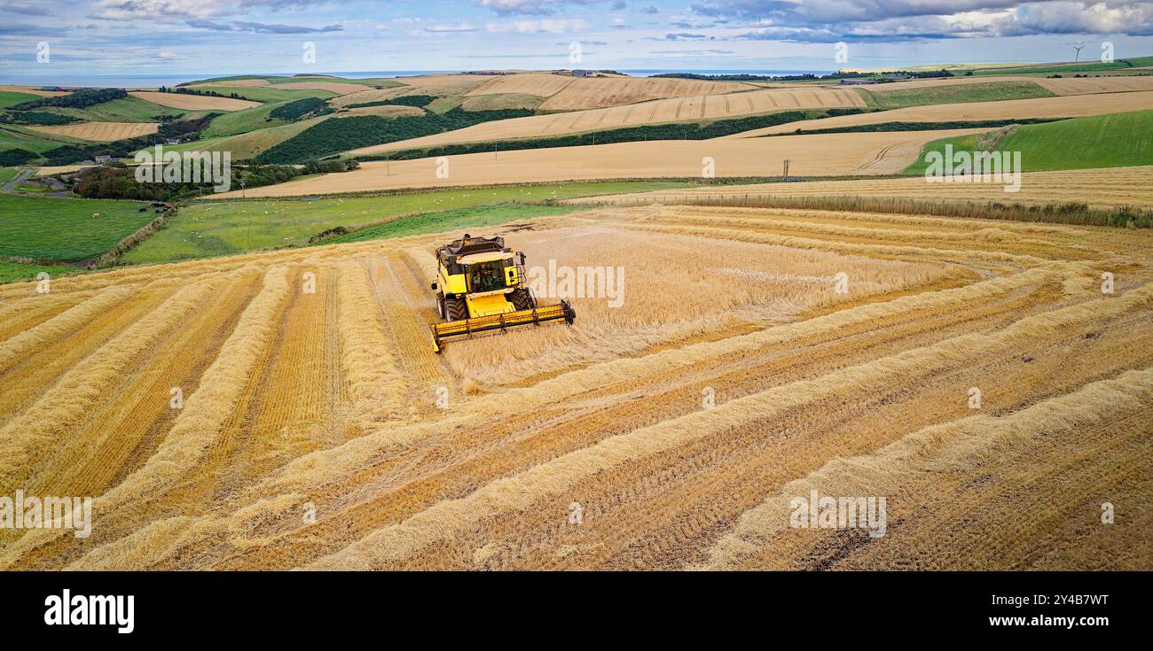 Moissonneuse-batteuse Crovie Aberdeenshire Scotland la machine sur le champ d'orge doré à la fin de l'été Banque D'Images