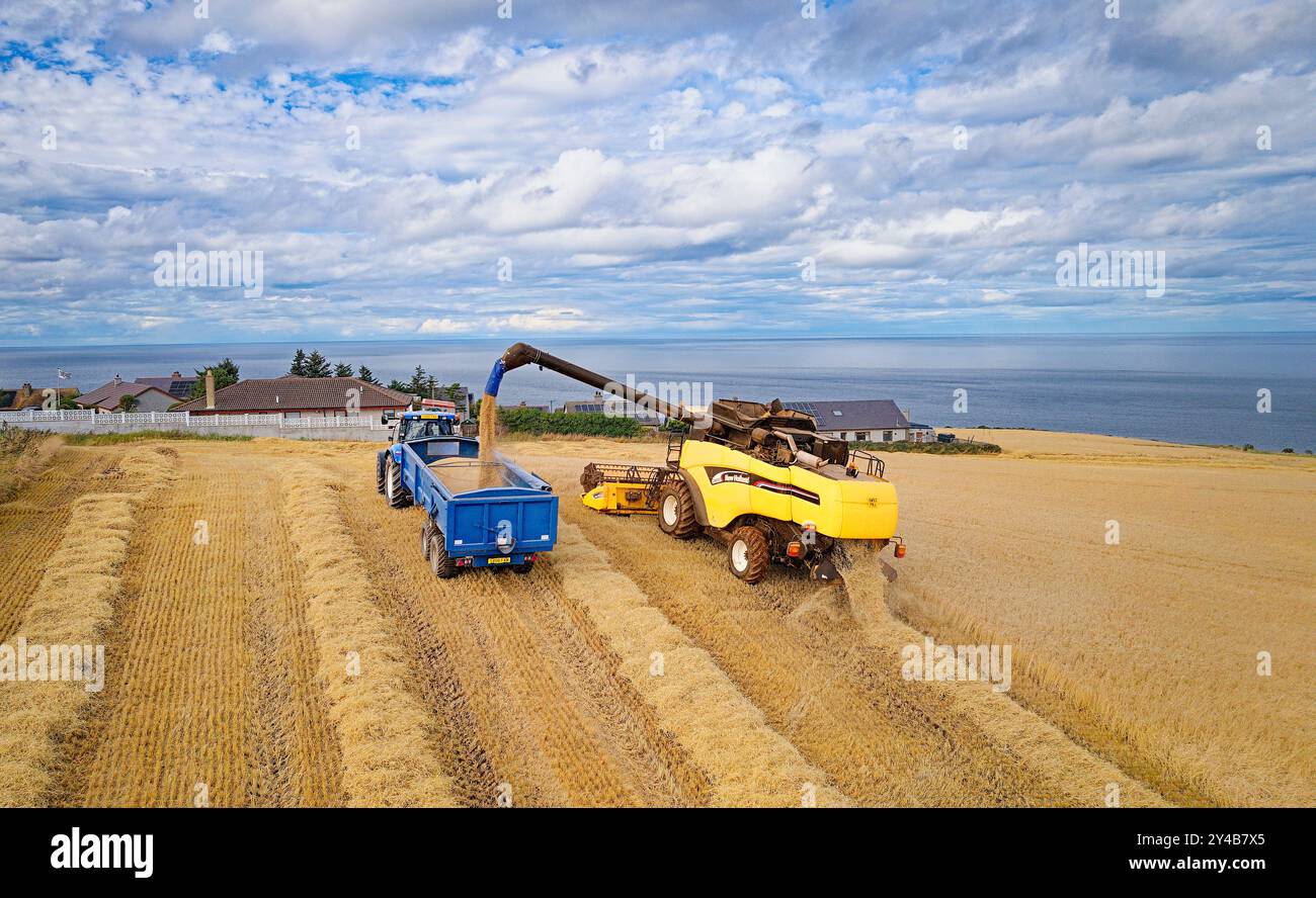 Moissonneuse-batteuse Gardenstown Aberdeenshire Écosse champ d'orge à la fin de l'été, la moissonneuse-batteuse remplit une remorque de grain Banque D'Images