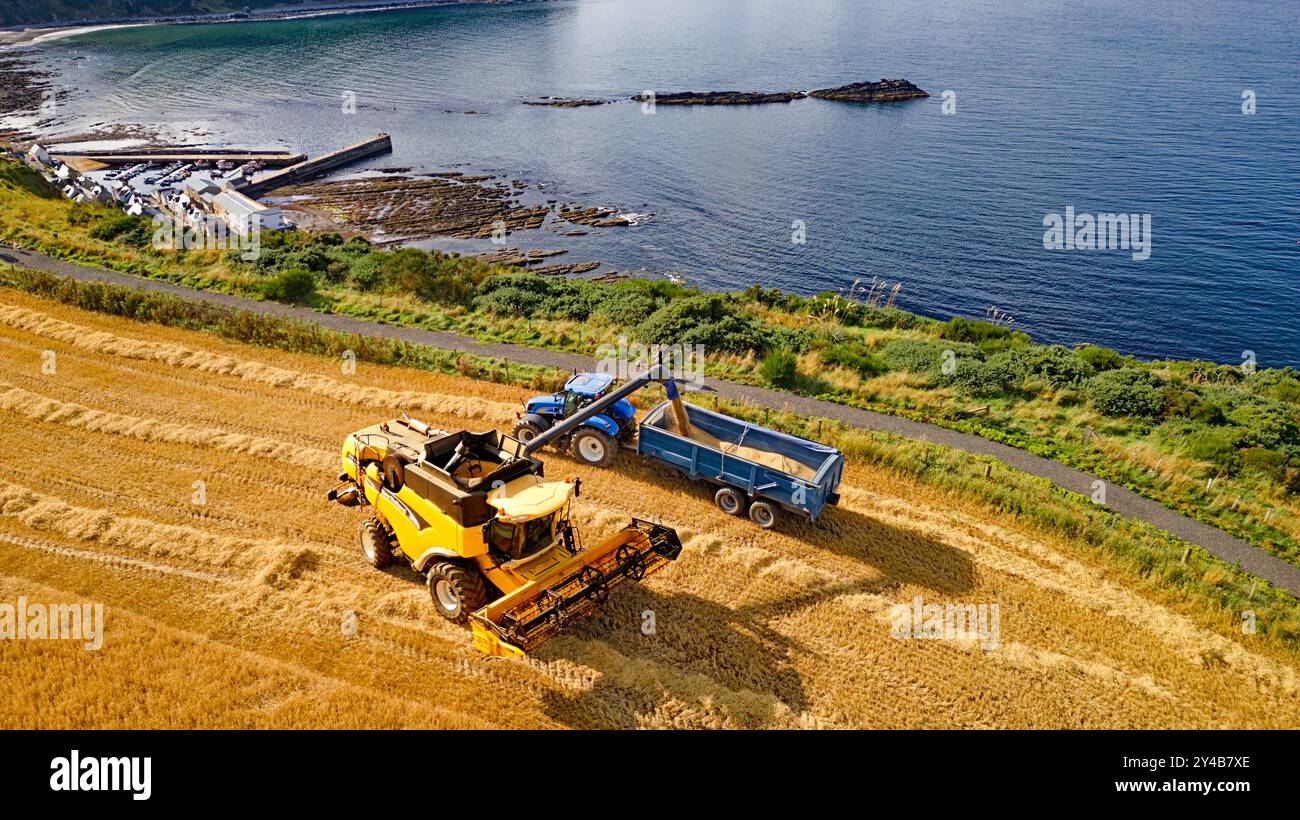 Moissonneuse-batteuse Gardenstown Aberdeenshire Écosse champ bleu d'orge de mer à la fin de l'été une moissonneuse remplissant une remorque de grain Banque D'Images
