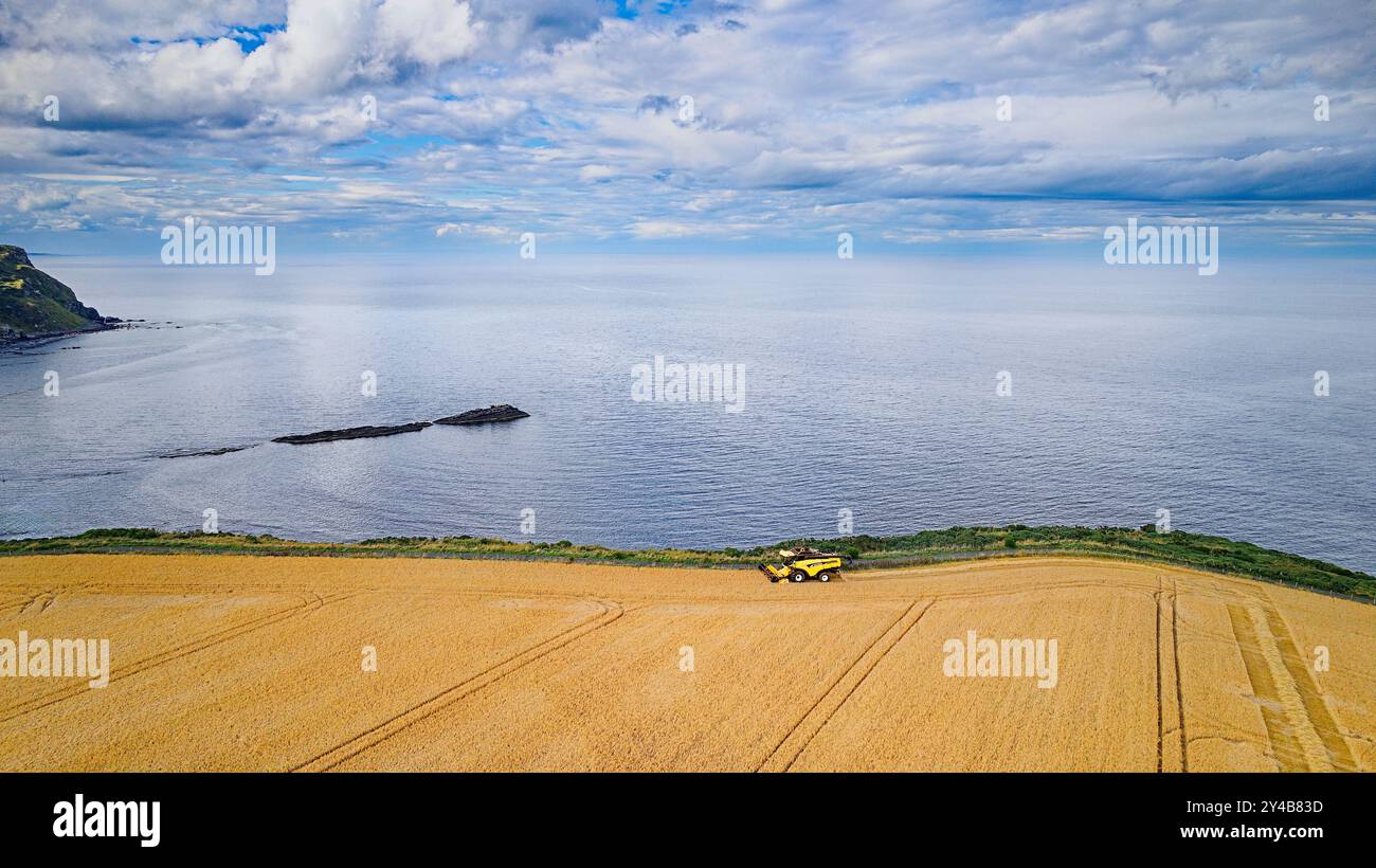 Combinez Harvester Gardenstown Aberdeenshire Écosse la mer bleue dans la baie et le champ d'orge à la fin de l'été Banque D'Images