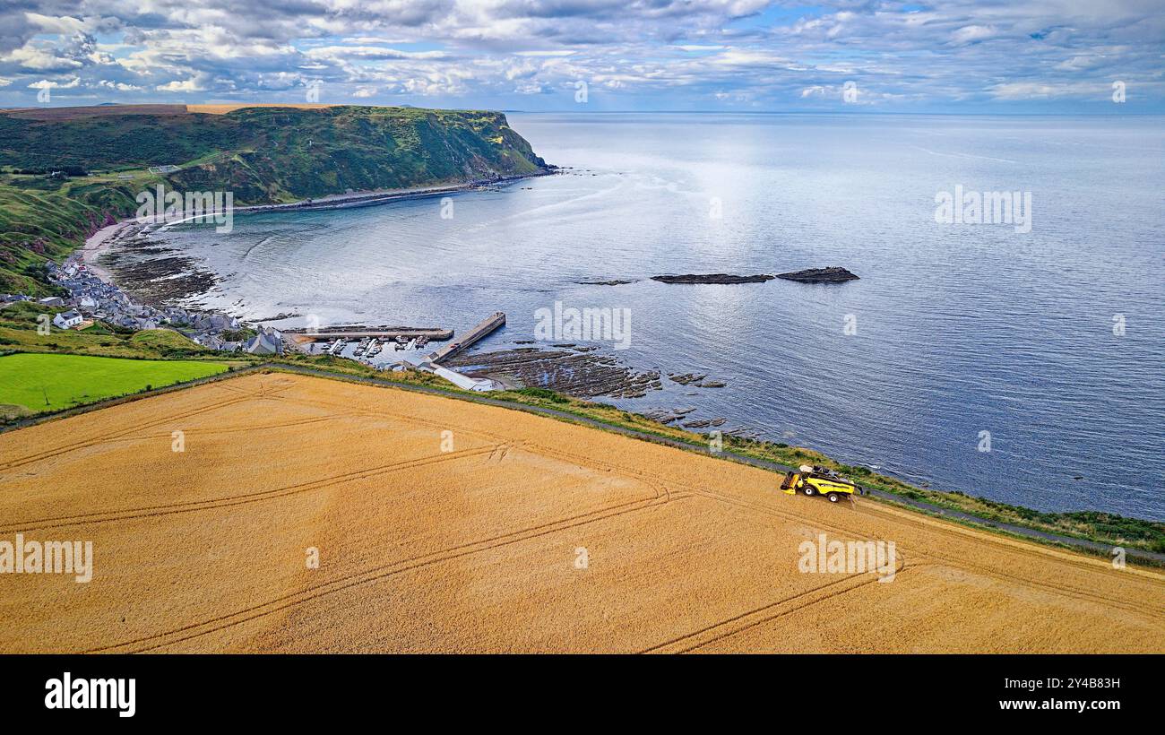 Combinez Harvester Gardenstown Aberdeenshire Écosse la mer bleue le port et les maisons et le champ d'orge à la fin de l'été Banque D'Images