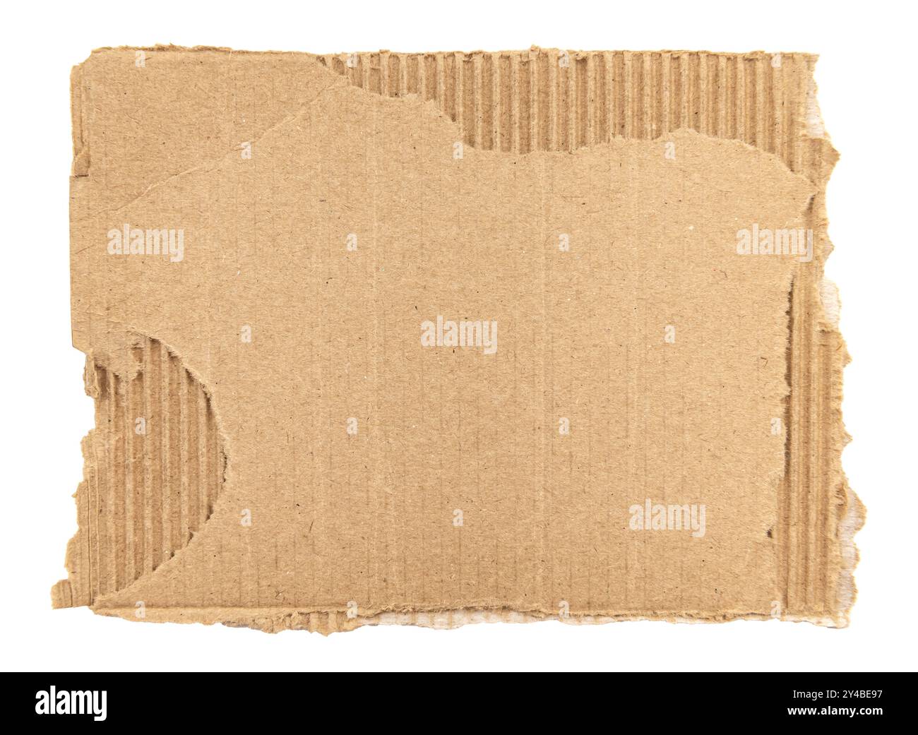 Morceau de carton déchiré sur un fond blanc. Isolat de carton déchiré Banque D'Images Morceau de carton déchiré sur un fond blanc. Isolat de carton déchiré Banque D'Images
