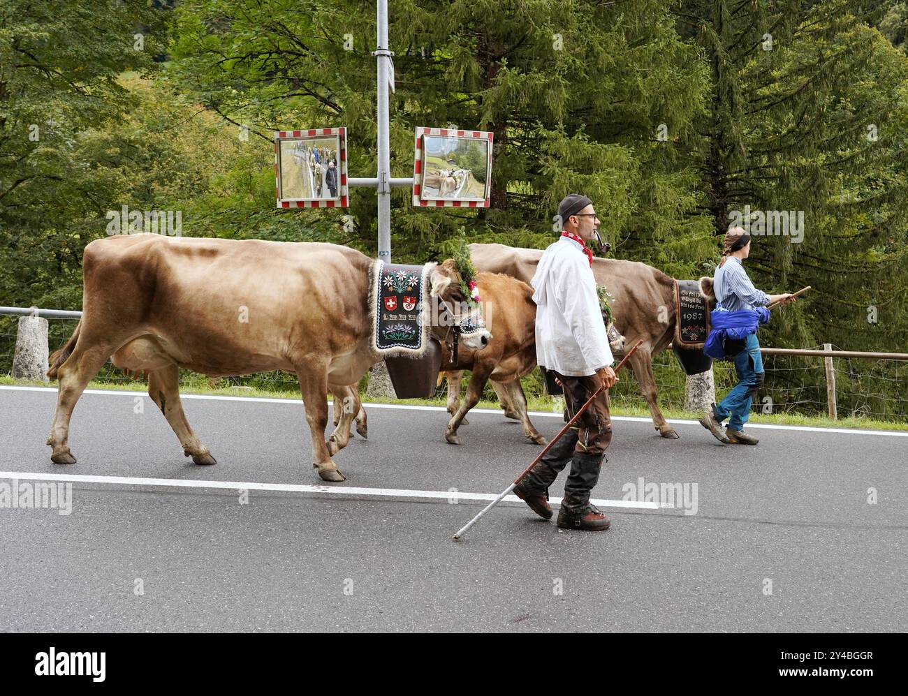Anton Geisser 14.09.2024 Kanton Bern, Schweiz. Rueckkehr der Kuehe ins Tal. Alpabfahrt Engstlenalp - Innertkirchen . Berner Oberland Bild : Kuh mit Kuhglocke und Blumenschmuck auf dem Kopf . *** Anton Geisser 14 09 2024 Canton de Berne,Suisse retour des vaches dans la vallée Alpabfahrt Engstlenalp Innertkirchen Oberland bernois vache photo avec cloche et décoration florale sur la tête Banque D'Images