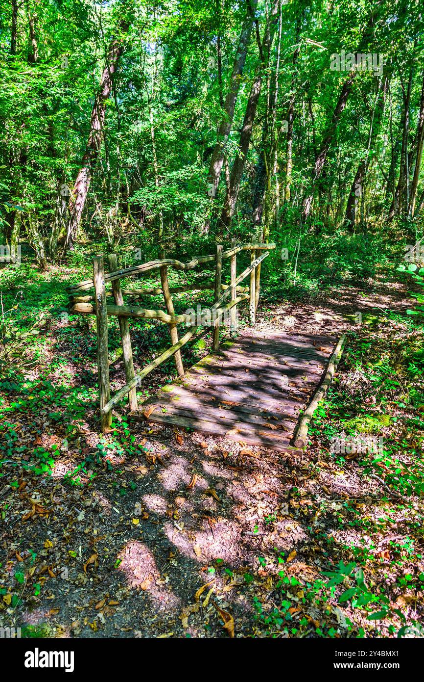 Promenade dans les bois / sentier nature avec constructions en bois naturel près du village de Boussay, Indre-et-Loire (37), France. Banque D'Images