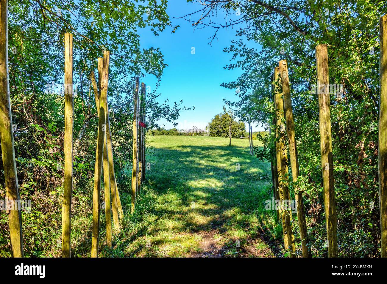 Promenade dans les bois / sentier nature avec constructions en bois naturel près du village de Boussay, Indre-et-Loire (37), France. Banque D'Images