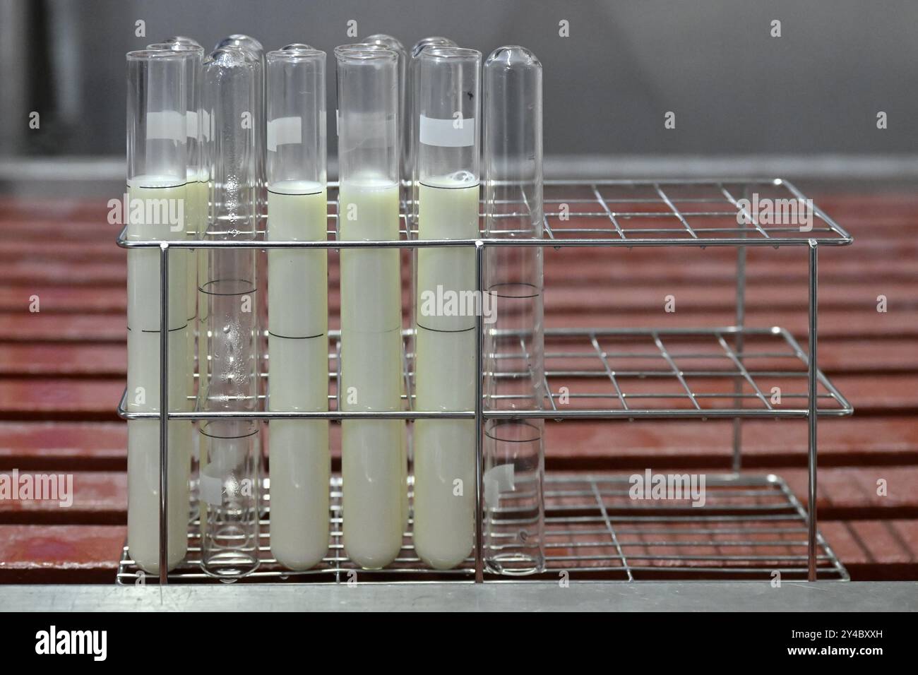 Symboles photo échantillons de lait Banque D'Images