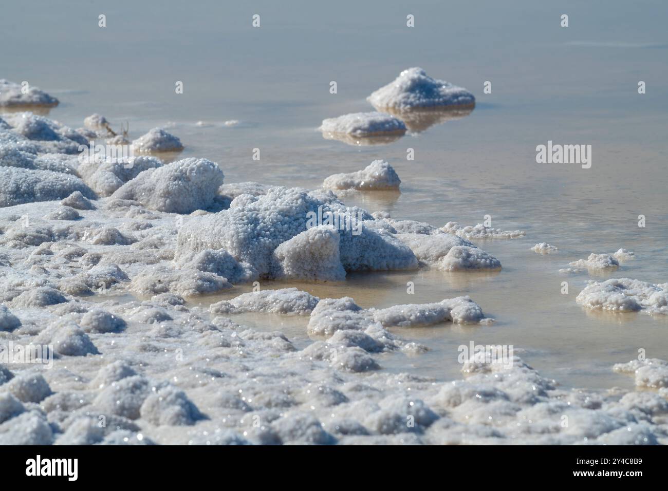 Le rivage couvert de cristaux de sel par un jour ensoleillé de mai. Lake Elton. Région de Volgograd, Russie Banque D'Images