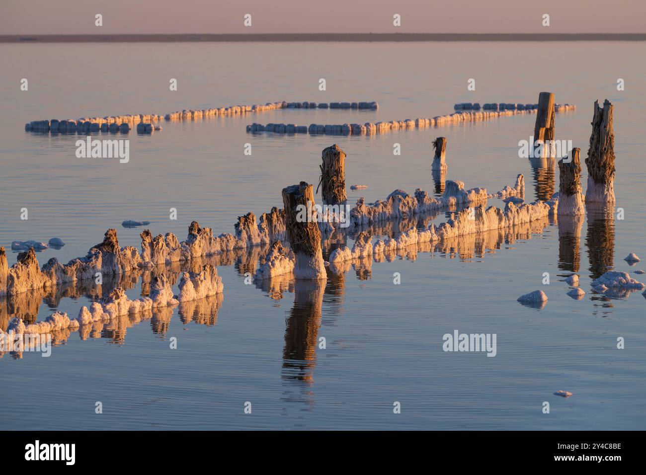Restes de vieux bains de sel sur le lac Elton par une soirée ensoleillée de mai. Région de Volgograd, Russie Banque D'Images