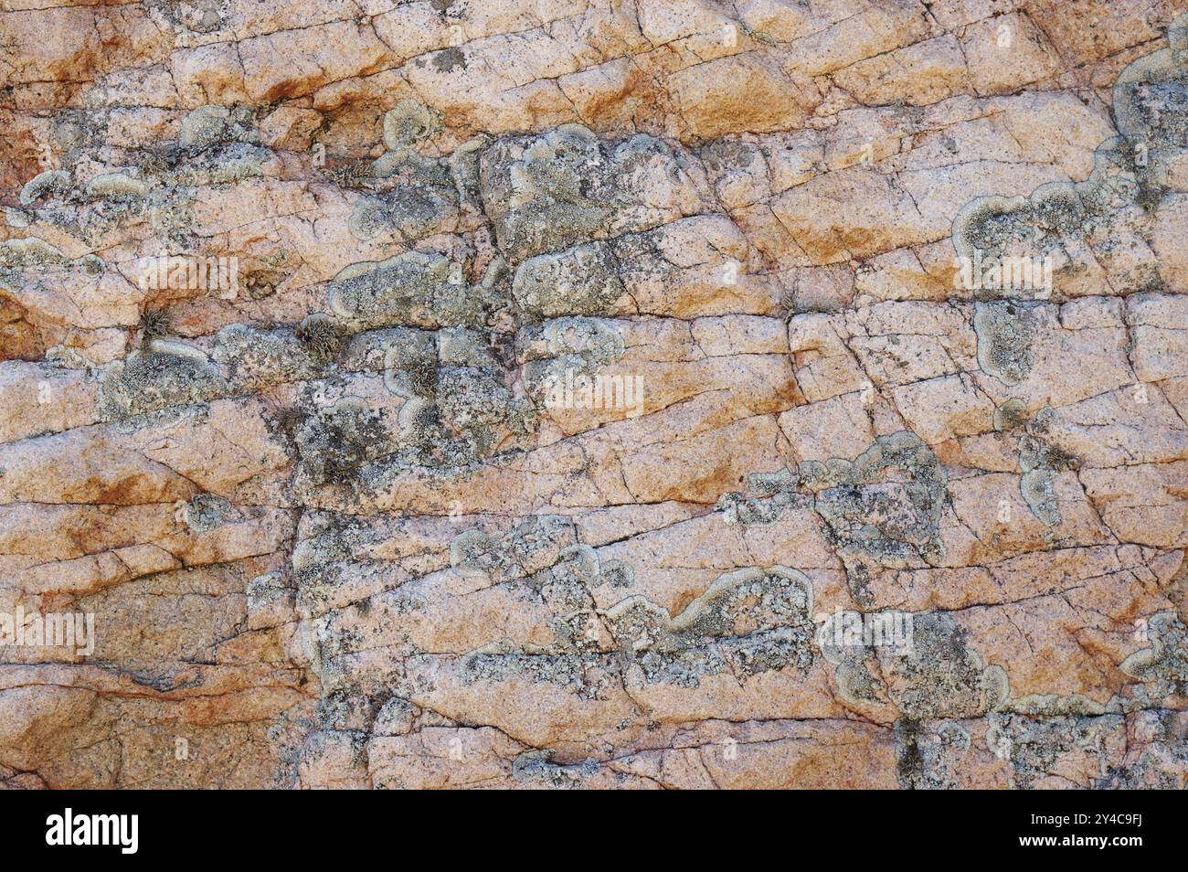 Surface rocheuse granitique - Banque D'Images