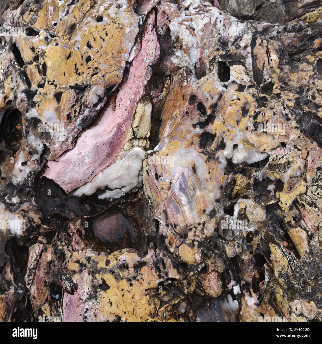 Surface rocheuse, Ligurie, Italie, Europe Banque D'Images