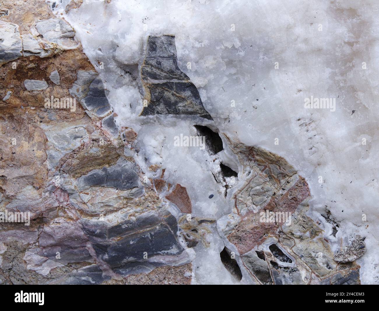 Surface rocheuse, Ligurie, Italie, Europe Banque D'Images