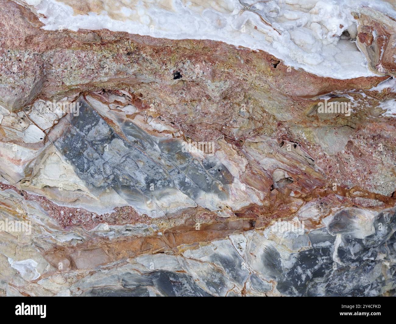 Surface rocheuse, Ligurie, Italie, Europe Banque D'Images