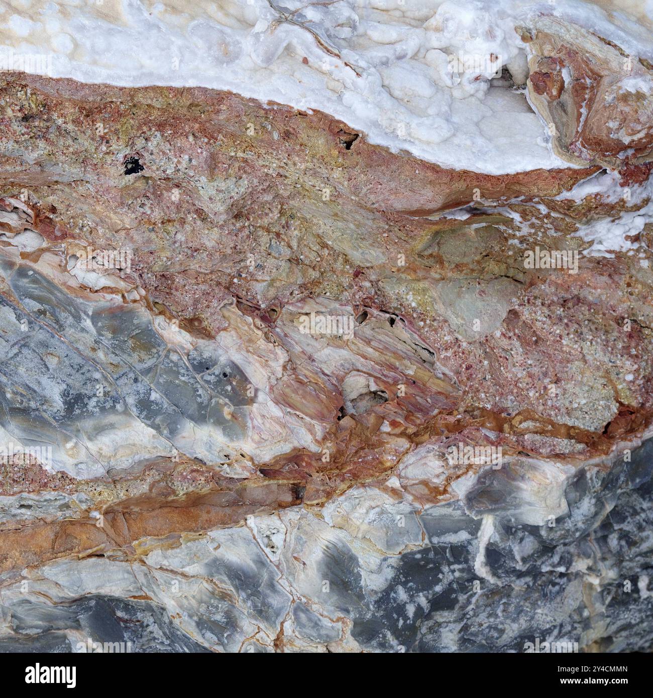 Surface rocheuse, Ligurie, Italie, Europe Banque D'Images