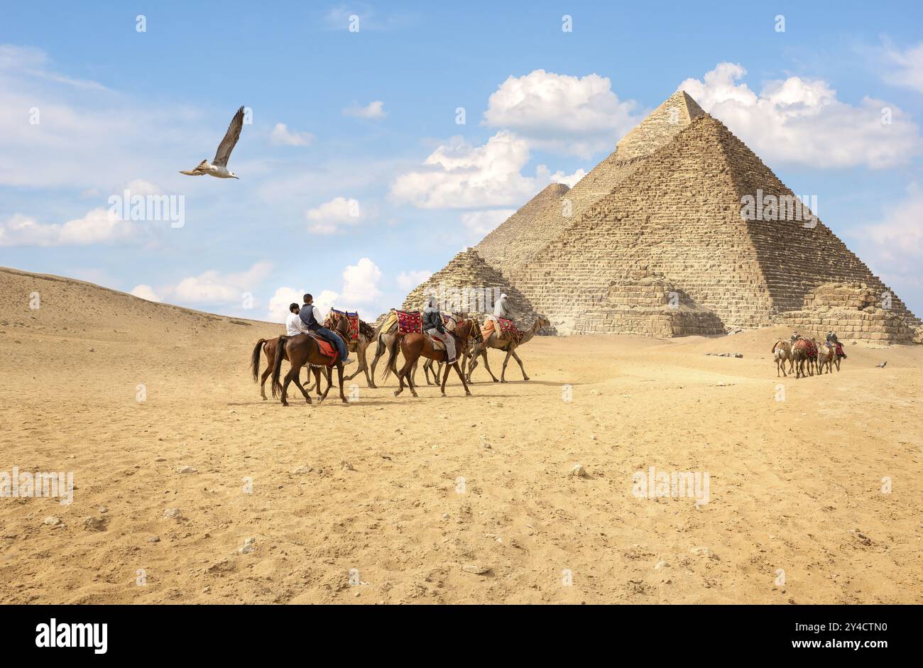 Équitation aux piramyds égyptiens à Gizeh à la journée ensoleillée d'été Banque D'Images