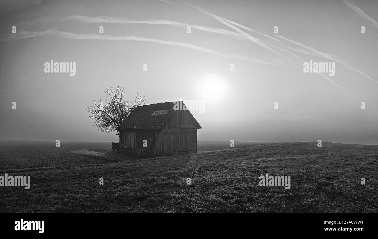 Jetez dans une humeur matinale dans la brume brumeuse Banque D'Images