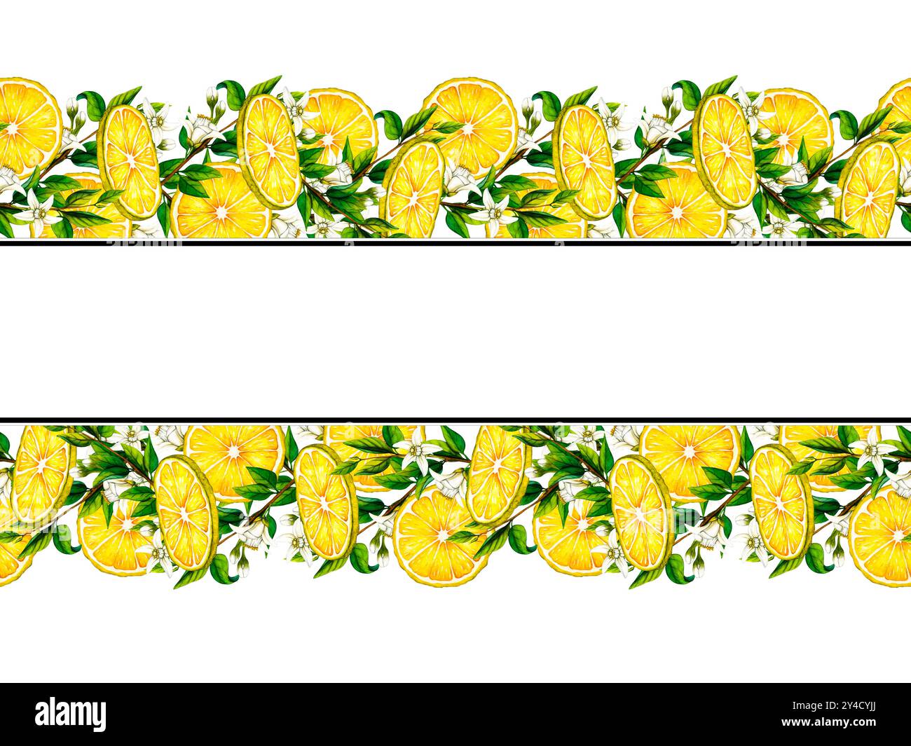 Cadre horizontal aquarelle sans couture avec branches de citron et fleurs blanches. Illustration botanique dessinée à la main d'agrumes jaunes. Clipart Banque D'Images