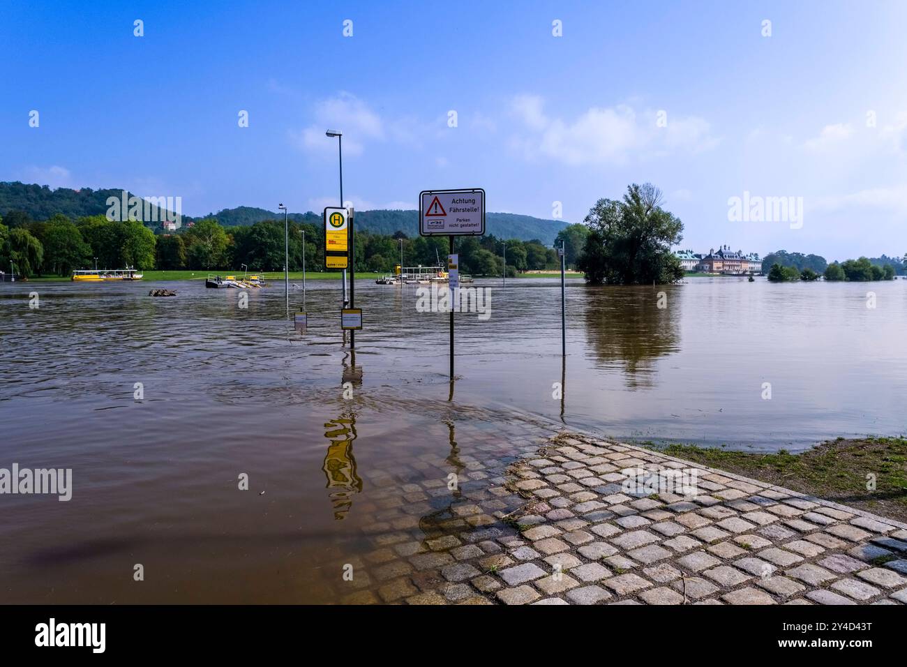 Crue de la rivière Elbe à Dresde dans le quartier Pillnitz le 17/09/2024 avec un niveau d'eau de 5,90 m, château Pillnitz au loin. Dresde Saxon Banque D'Images