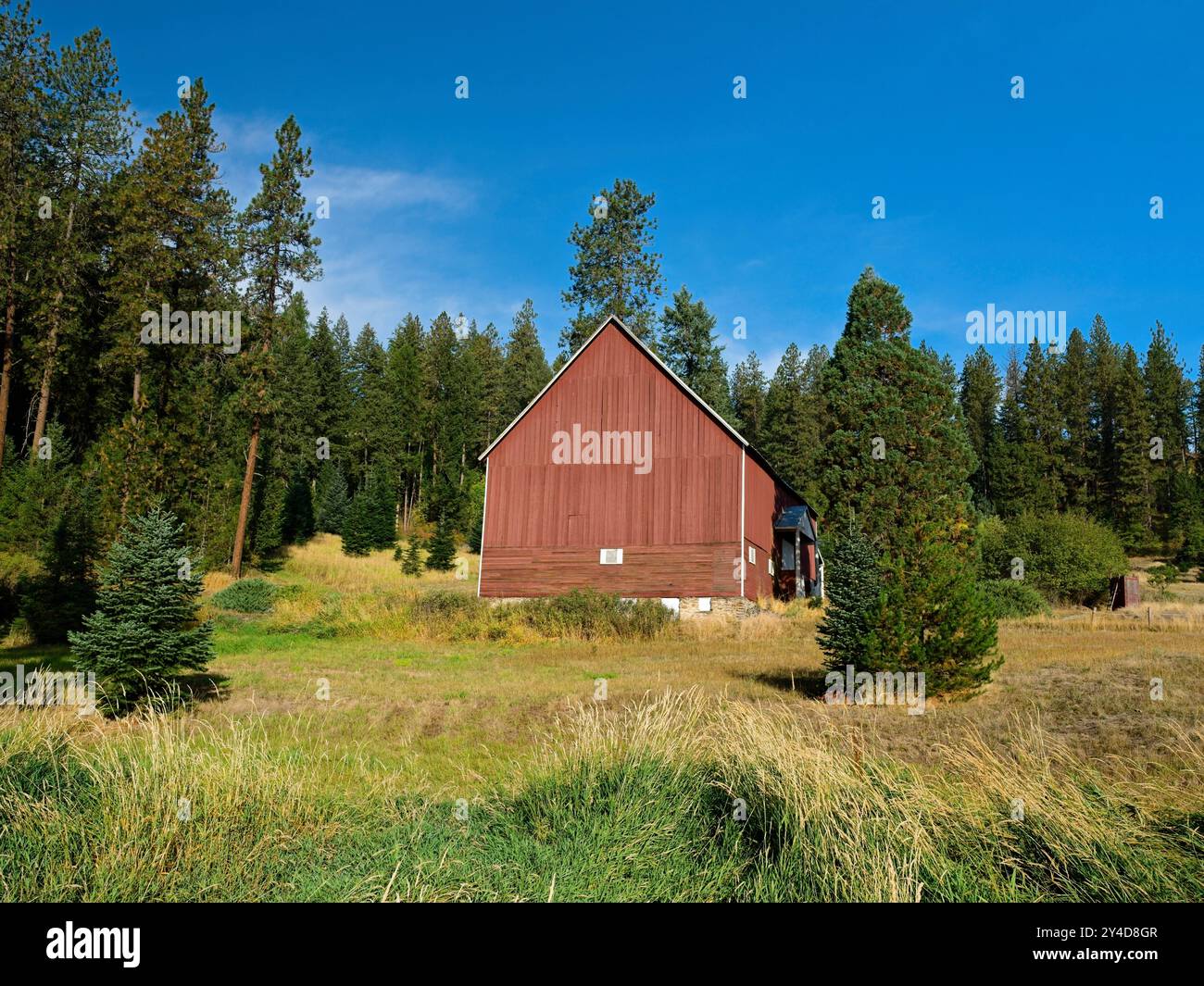 Une grange rouge vif se dresse dans un petit champ près d'une forêt dans le nord de l'Idaho. Banque D'Images