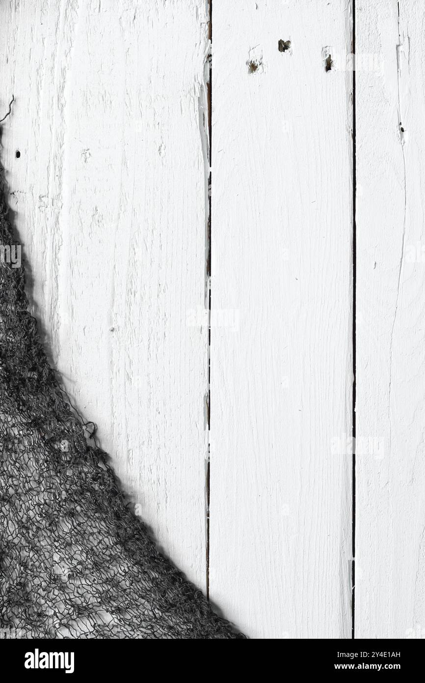 Gaze noire sur fond d'halloween en bois blanc Banque D'Images