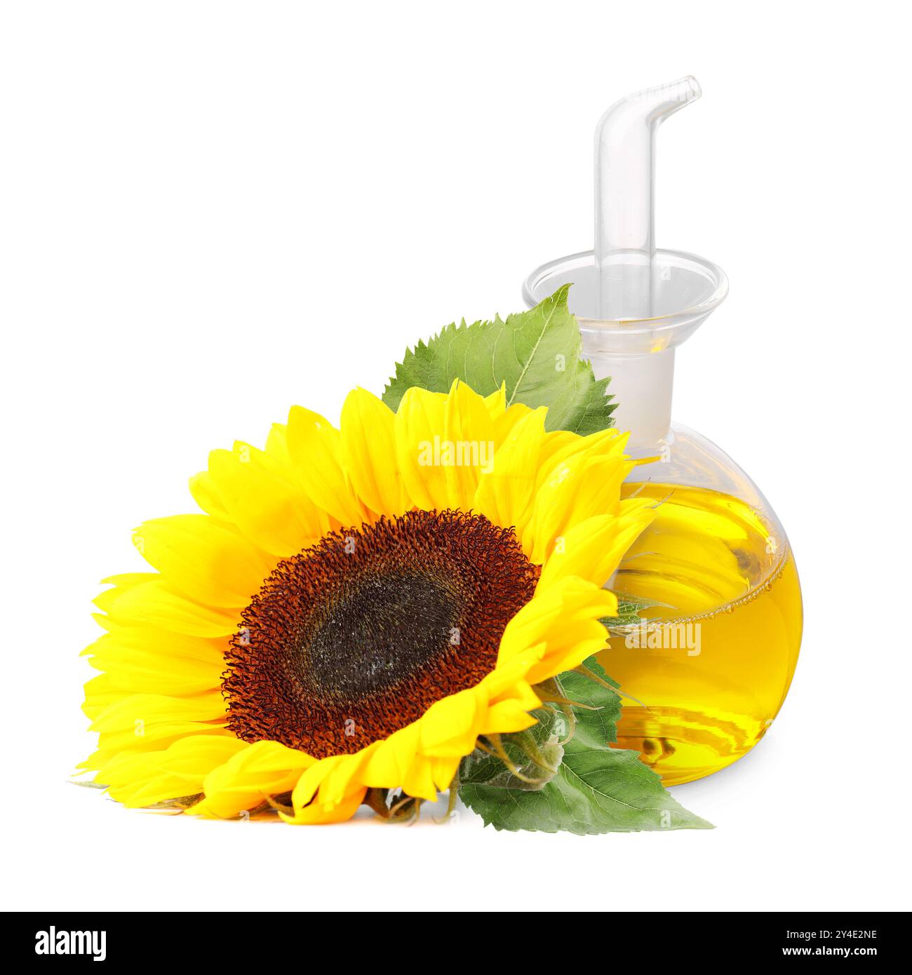 Huile de cuisson dans le cruet de verre et tournesols lumineux isolé sur blanc Banque D'Images