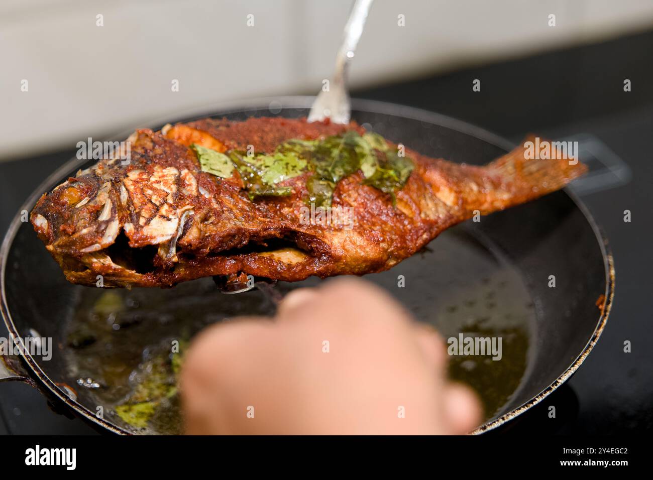 Un poisson parfaitement frit, assaisonné et garni, prêt à être servi directement à la poêle. Banque D'Images Un poisson parfaitement frit, assaisonné et garni, prêt à être servi directement à la poêle. Banque D'Images