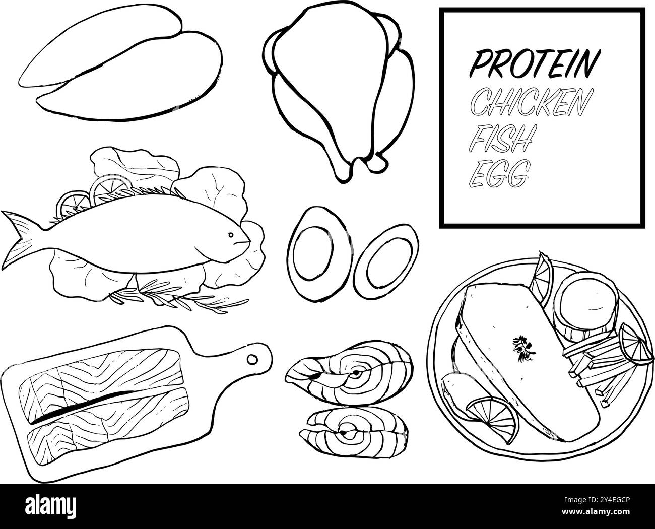 ensemble de doodles de poisson, de poulet et d'œufs, illustration dessinée à la main de volaille et de poisson Illustration de Vecteur