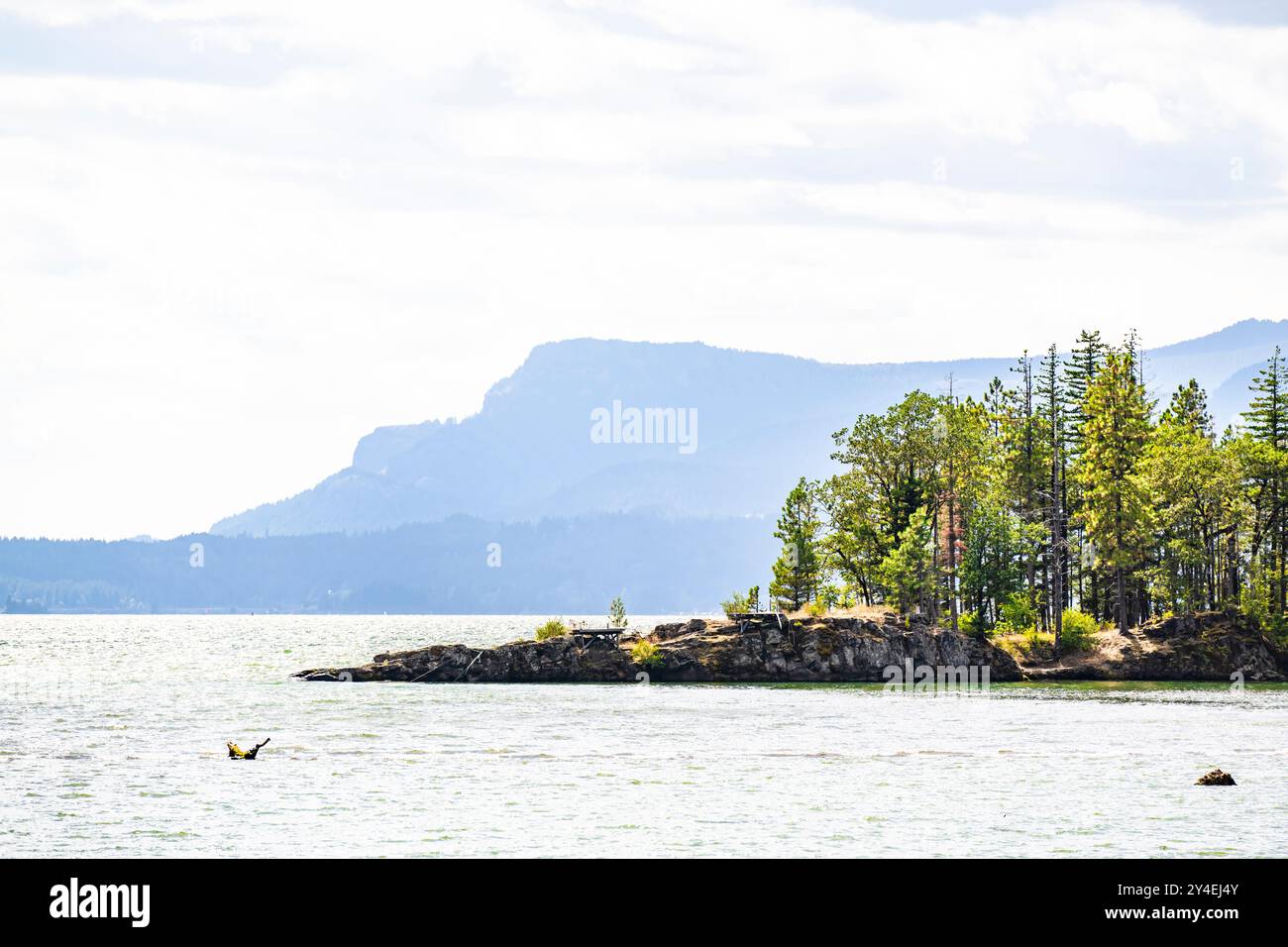 Vue sur le paysage du promontoire rocheux bordé d'arbres sur le fleuve Columbia avec une chaîne de montagnes brumeuse sur la rive opposée en arrière-plan dans le Banque D'Images